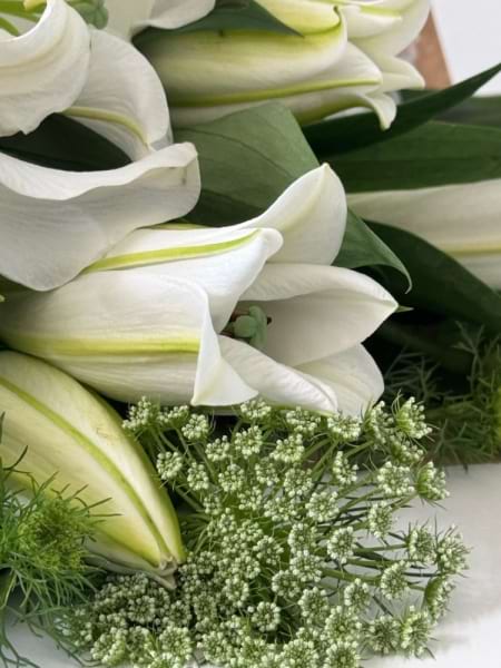 Oriental Lily