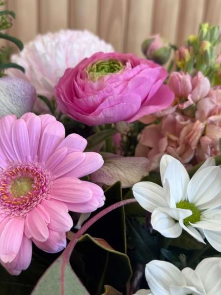 Daisies